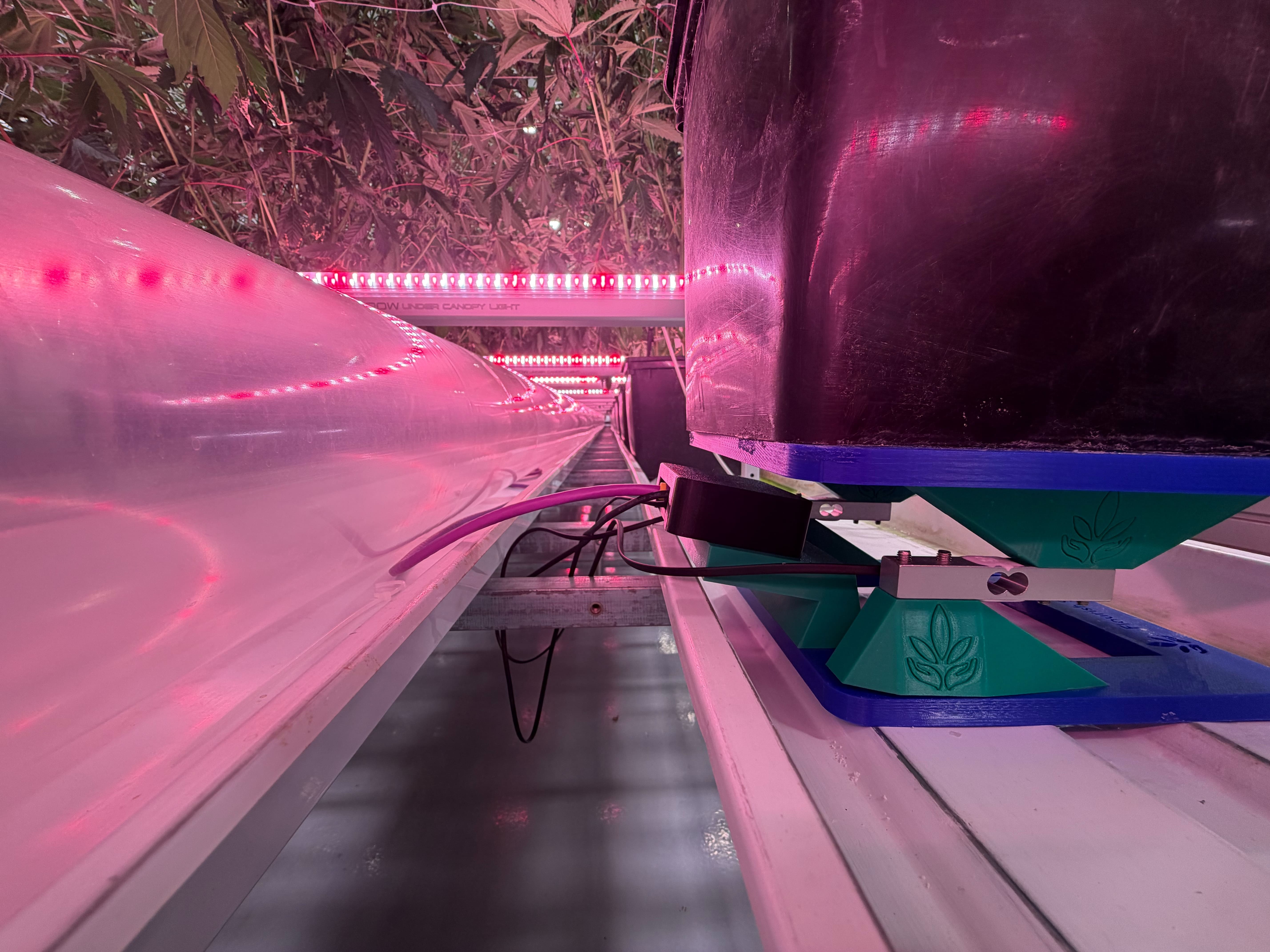 Flourish scale unit installed in a commercial grow room under LED lights